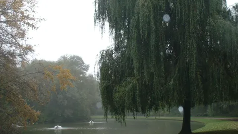 Parc des Etangs