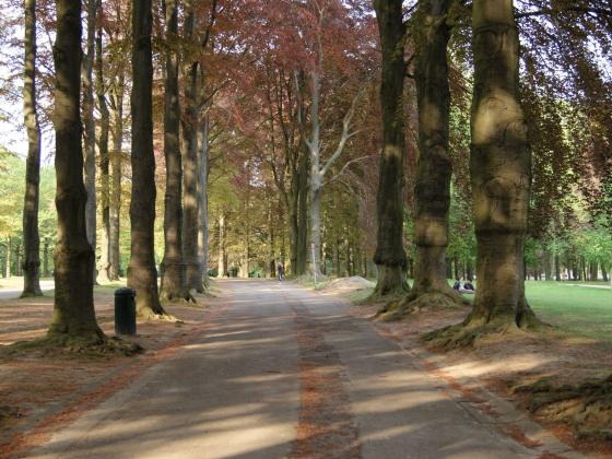 Une des promenades du parc dans le Parc d’Osseghem. Le parc a été créé par l’architecte paysagiste Jules Buyssens pour l’Exposition universelle de 1935.